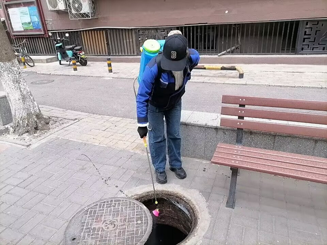 北京消殺公司：蟑螂怎么消滅最徹底小妙招