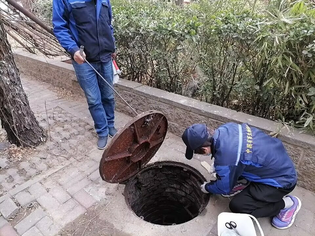 北京殺蟲(chóng)公司怎么挑選更合適呢？有哪些技巧