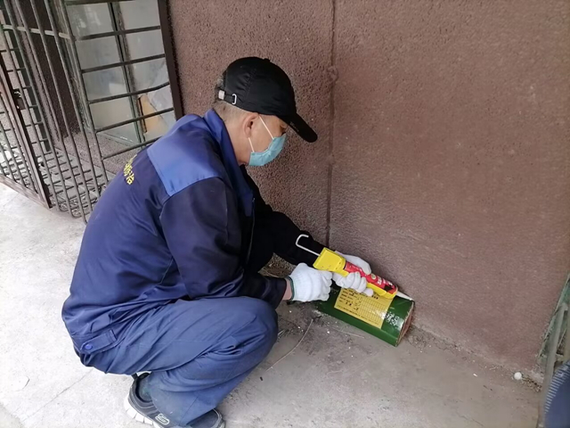 北京除四害公司哪家好（滅鼠公司上門家庭滅鼠）