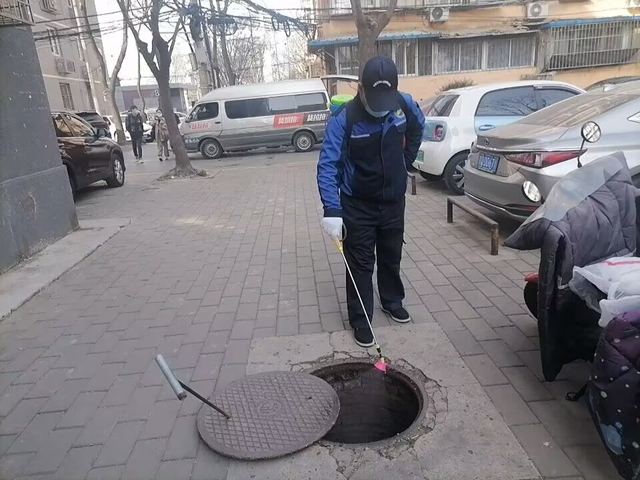 北京滅鼠公司上門滅鼠服務(wù)（口碑好的滅螞蟻解決方案）