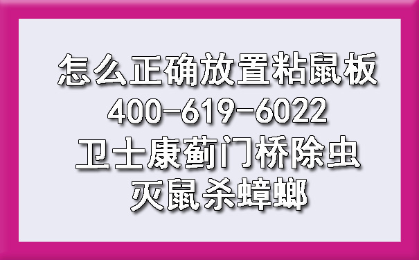 怎么正確放置粘鼠板400-619-6022衛(wèi)士康薊門(mén)橋除蟲(chóng)滅鼠殺蟑螂