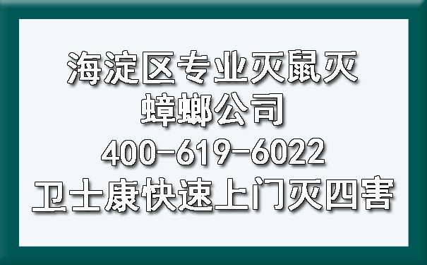 海淀區(qū)專業(yè)滅鼠滅蟑螂公司400-619-6022衛(wèi)士康快速上門滅四害