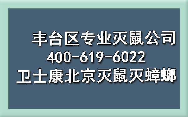 豐臺區(qū)專業(yè)滅鼠公司400-619-6022衛(wèi)士康北京滅鼠滅蟑螂