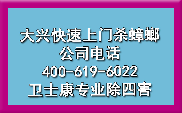 大興快速上門(mén)殺蟑螂公司電話(huà)400-619-6022衛(wèi)士康專(zhuān)業(yè)除四害